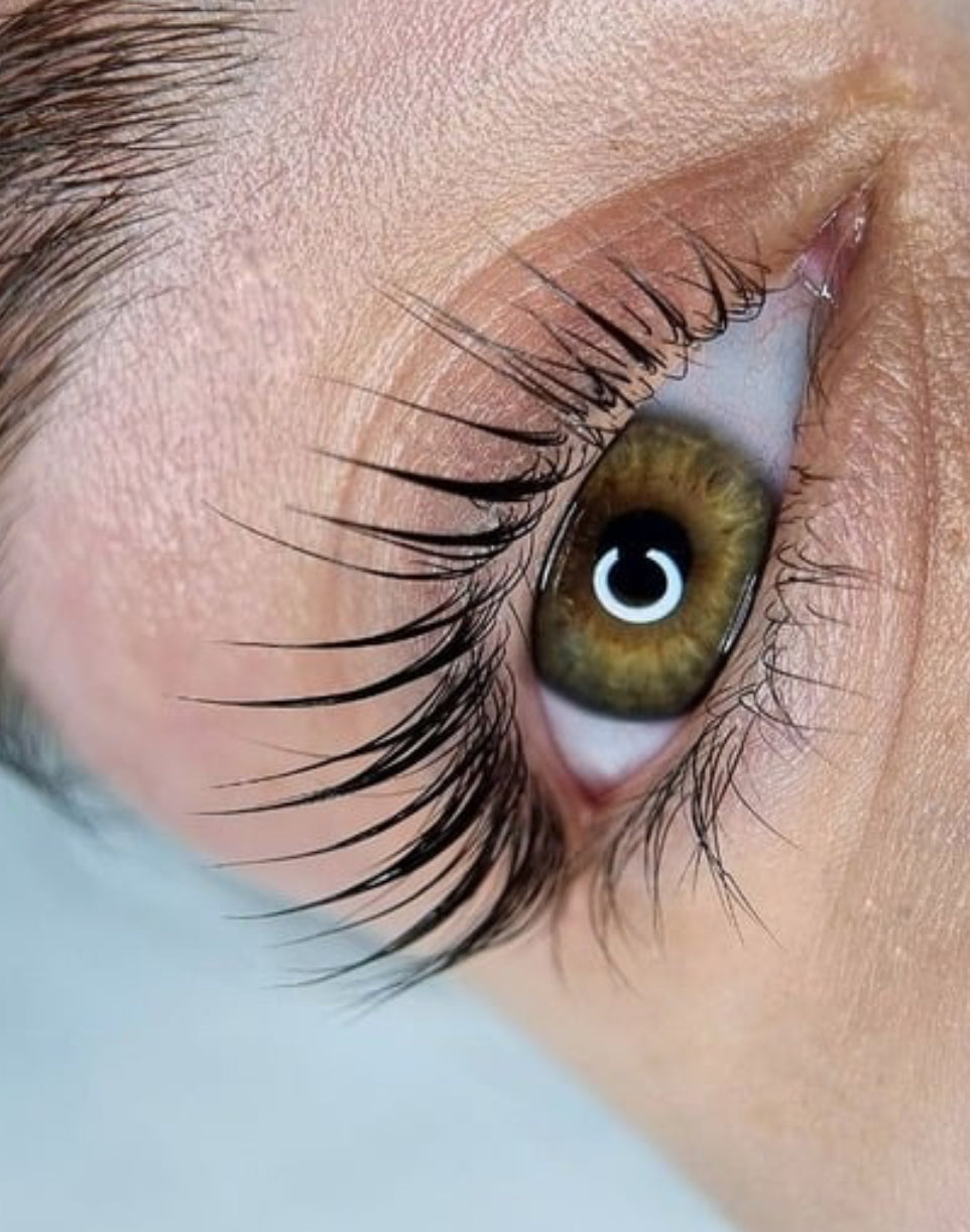 Lifted by Virtuose® – Schulung & Workbook