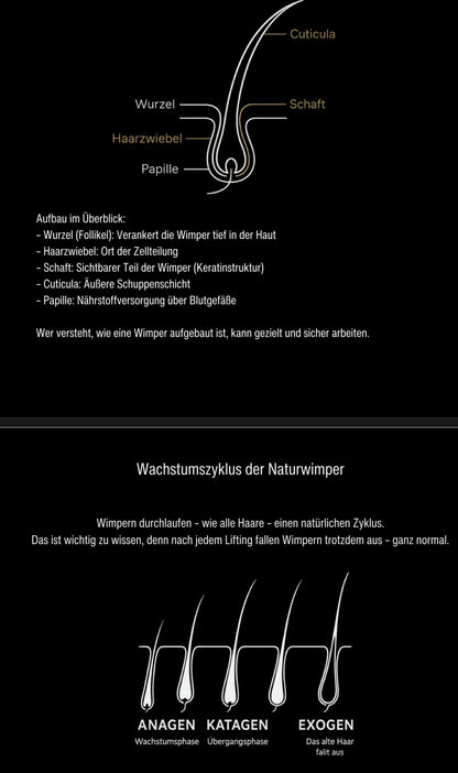 Workbook Lifted by Virtuose